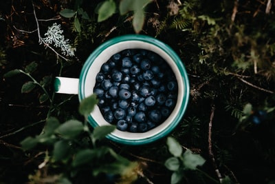Blue and white porcelain bowl of black berries

